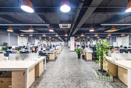 温岭超市杀虫消毒24小时服务